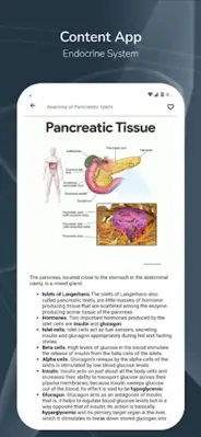 Endocrine System android App screenshot 0