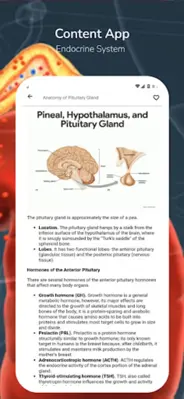 Endocrine System android App screenshot 1